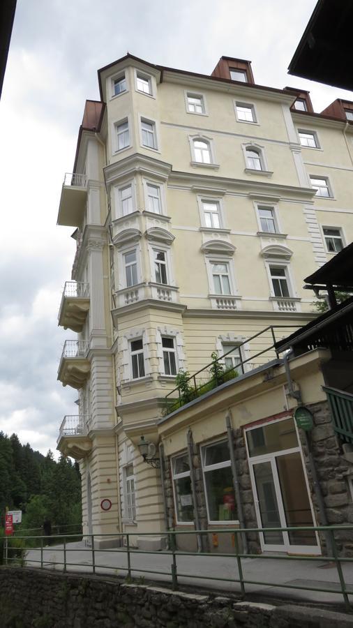 Residenz Appartementsバードガシュタイン エクステリア 写真